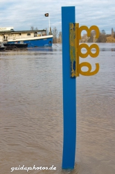 Hochwasser am Rhein