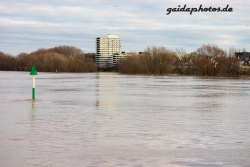 Hochwasser am Rhein