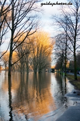 Hochwasser am Rhein