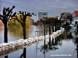 Hochwasser am Rhein