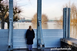 Hochwasser am Rhein