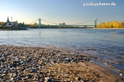 Niedrigwasser am Rhein