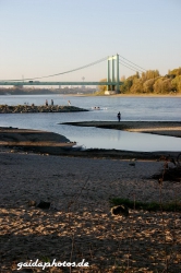 Niedrigwasser am Rhein