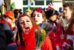 Karneval 2014 in Köln Rodenkirchen