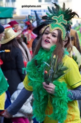 Karneval 2014 in Köln Rodenkirchen