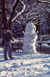 Schneesturm in New York City