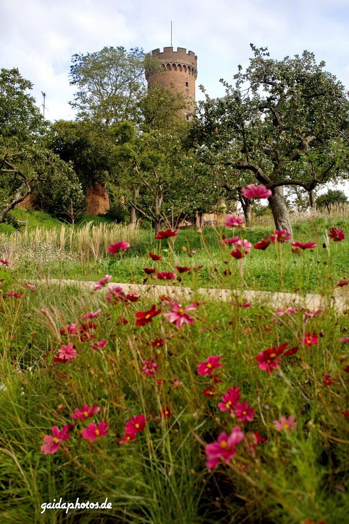 Landesgartenschau-Zülpich-Burg-Sommerwiese